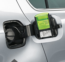 ������ ��� ����