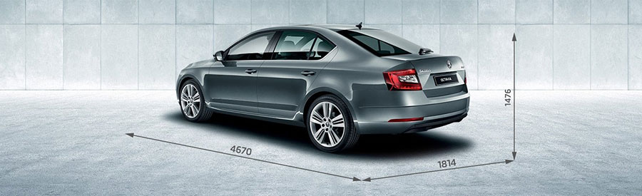 �������� ����� ����� �������