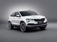 ��� �� �����: ŠKODA KAROQ ������ ������� � ������������� ������ ����� � ������������